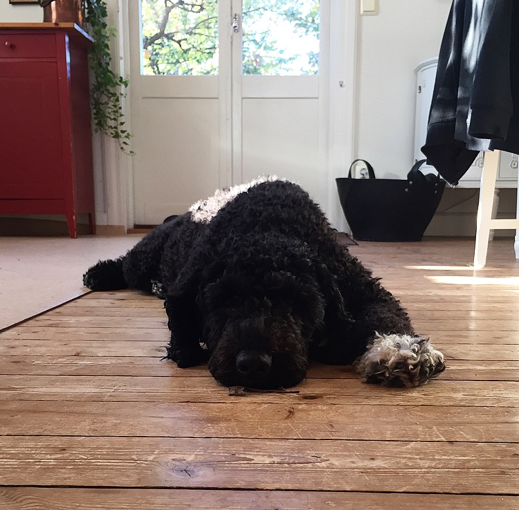 5AFFD9EB-D7CD-4D5A-8BC5-BBF632F97601