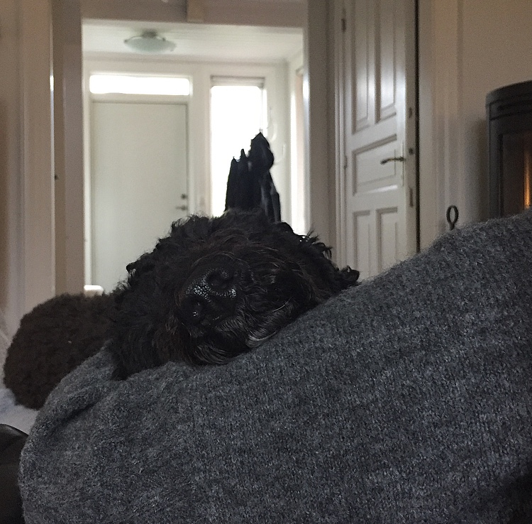 614F9E08-750E-4F24-9CD4-0651CFD971AE