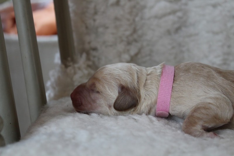 20181006094702_IMG_0472