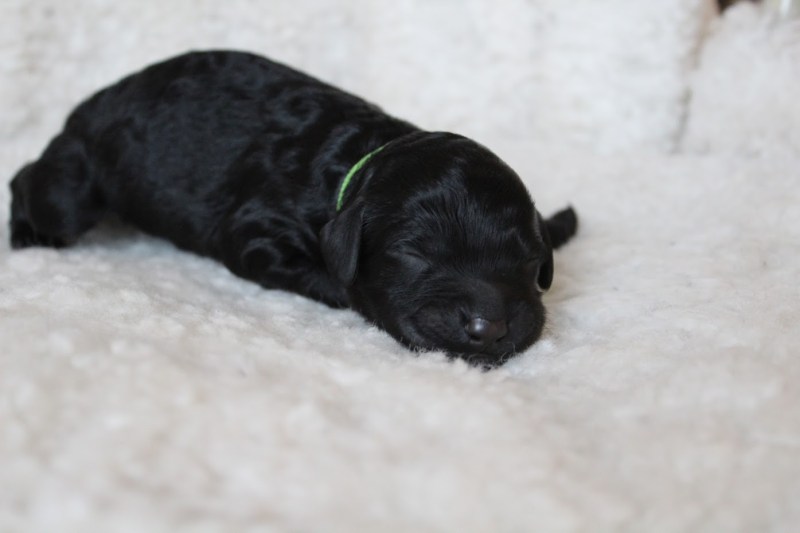 20181006095003_IMG_0481 (1)