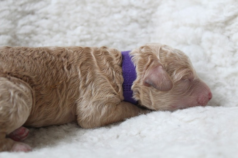 20181006122941_IMG_0519