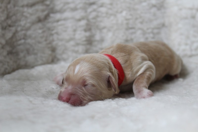 20181006123205_IMG_0529 (1)