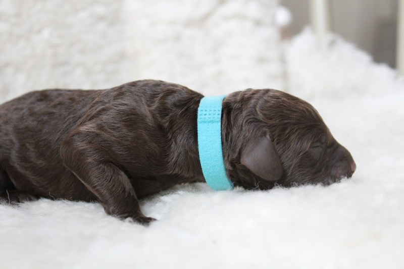 20181006123541_IMG_0536