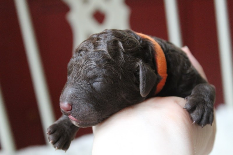 20181006132039_IMG_0604