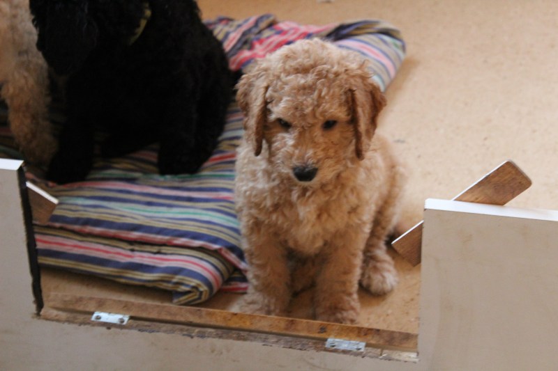 20181129133124_IMG_1818